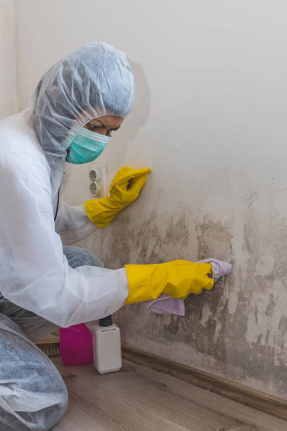 Best Mold Documentation for Insurance Claims  in Marlene Village, OR